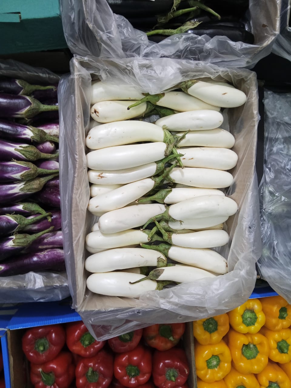 White Eggplant
